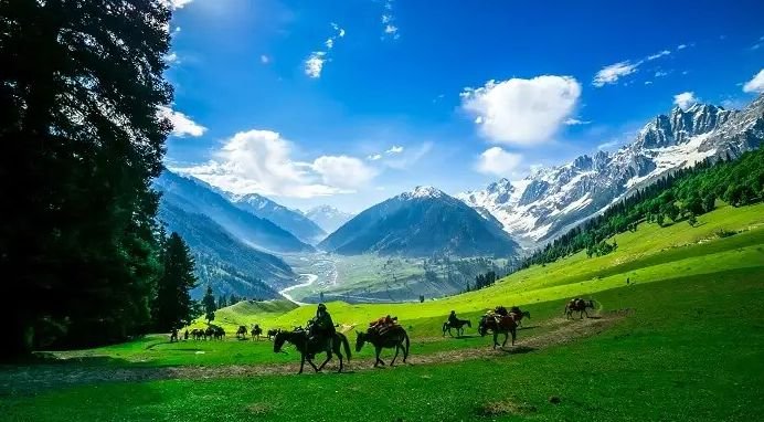 Jammu and Kashmir